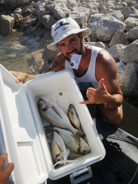 Fish Profile Picture