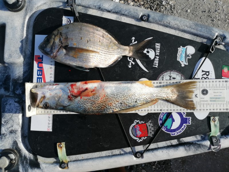 Fish Measure Picture