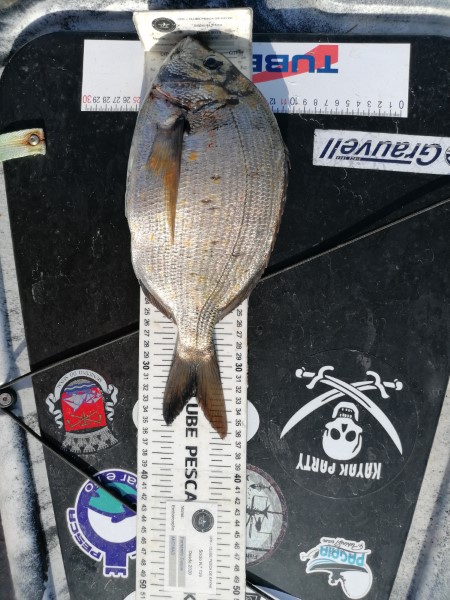 Fish Measure Picture