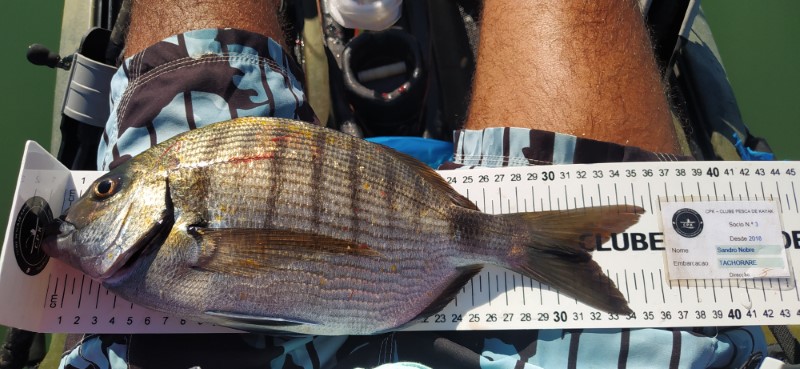 Fish Measure Picture