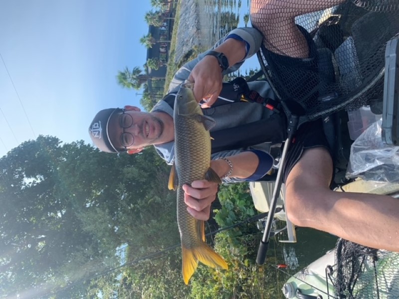 Fish Profile Picture
