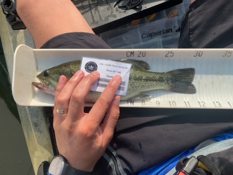 Fish Measure Picture