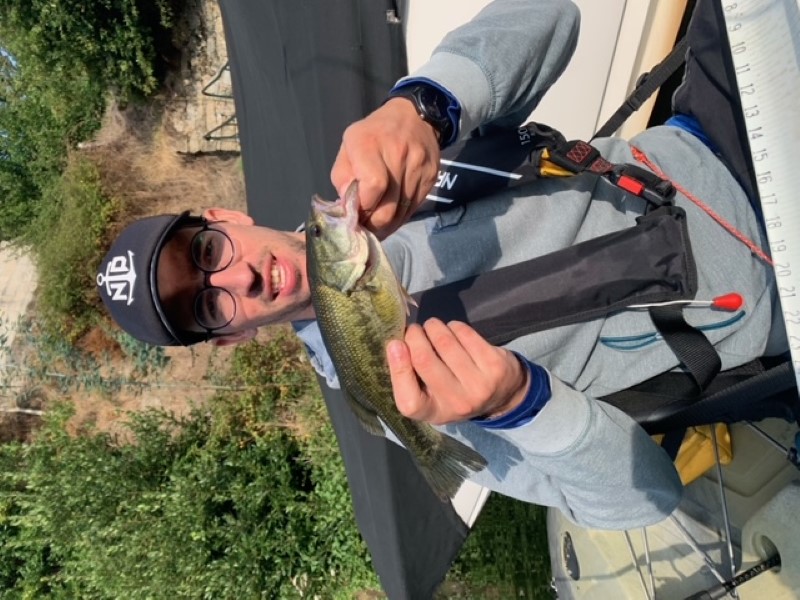 Fish Profile Picture