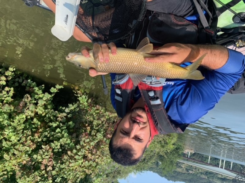 Fish Profile Picture
