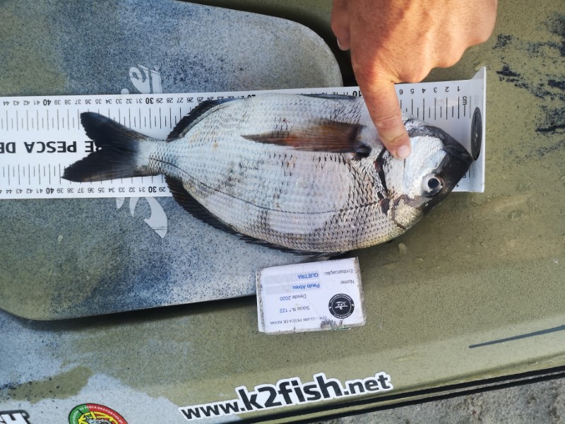 Fish Measure Picture