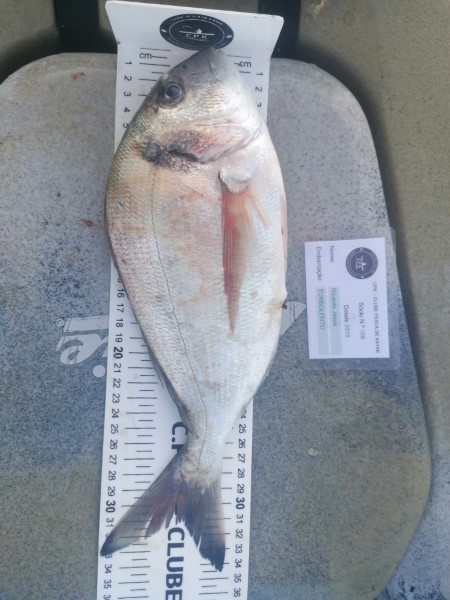 Fish Measure Picture