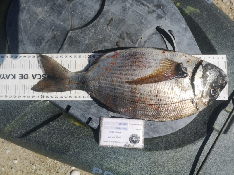 Fish Measure Picture