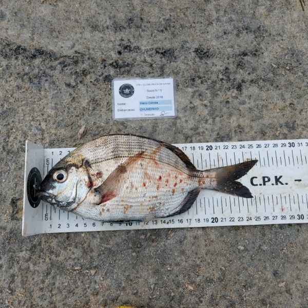 Fish Measure Picture