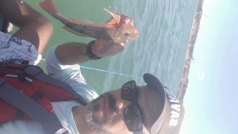 Fish Profile Picture