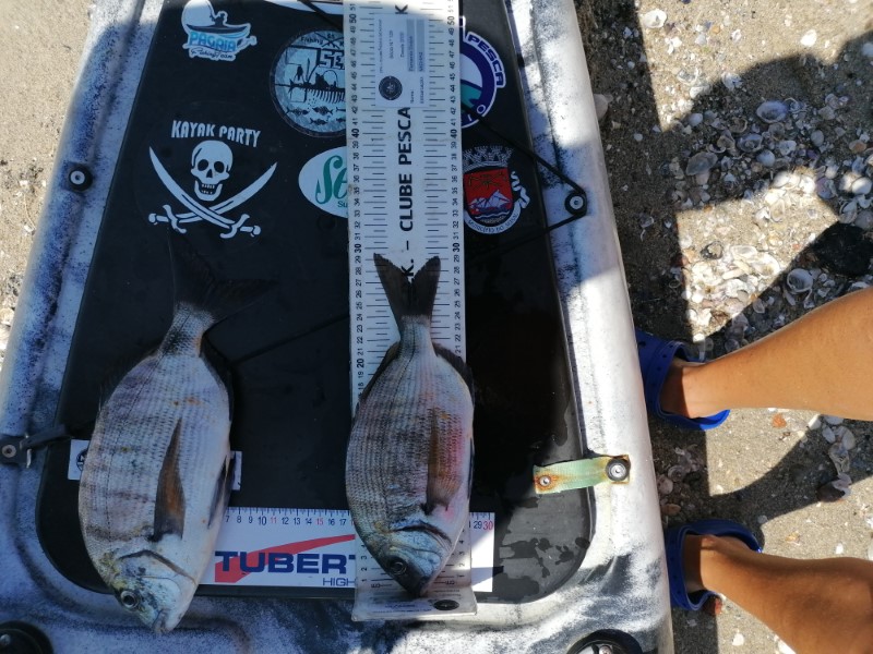 Fish Measure Picture