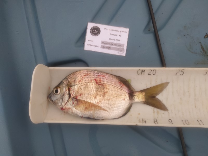 Fish Measure Picture