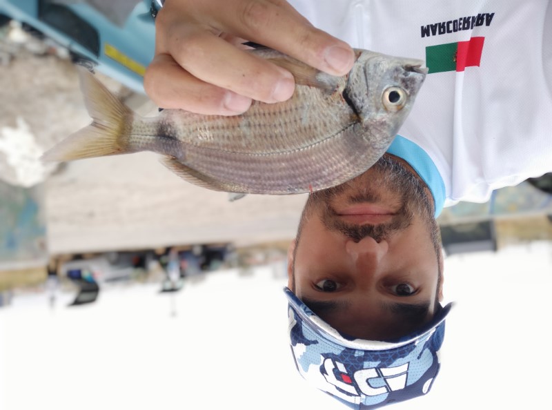 Fish Profile Picture