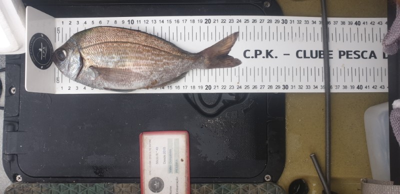 Fish Measure Picture