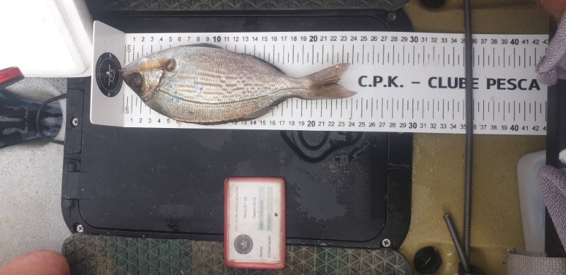 Fish Measure Picture