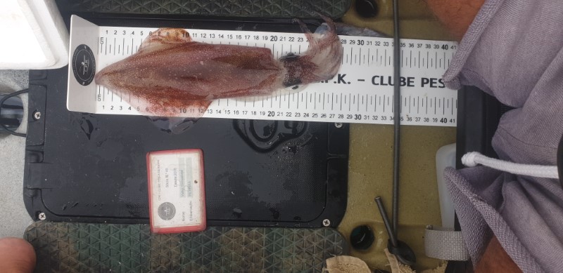Fish Measure Picture