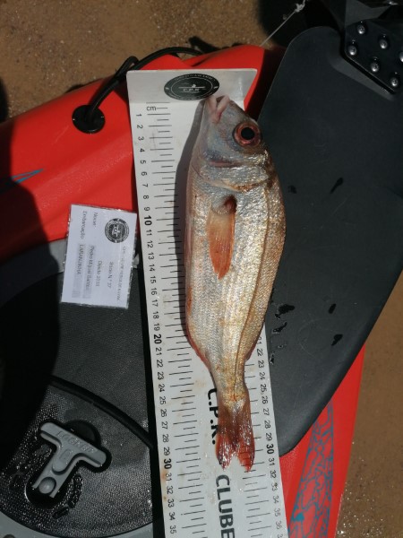 Fish Measure Picture