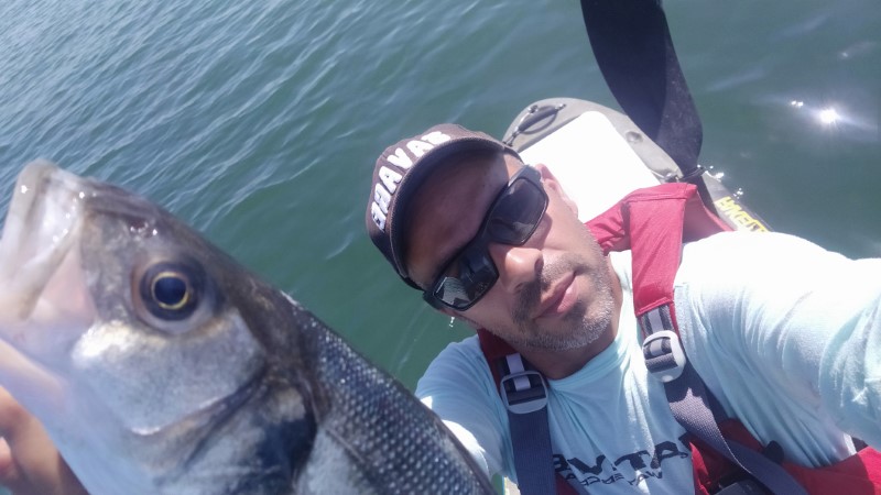 Fish Profile Picture