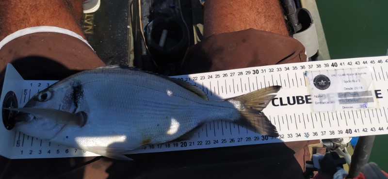Fish Measure Picture