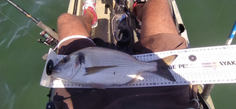 Fish Measure Picture