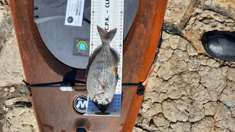 Fish Measure Picture