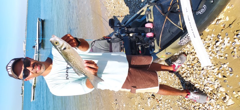 Fish Profile Picture