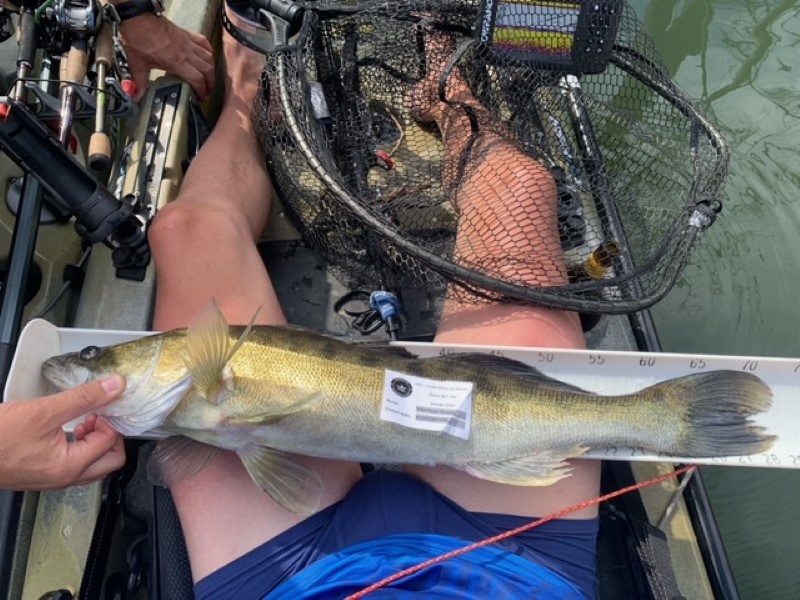 Fish Measure Picture