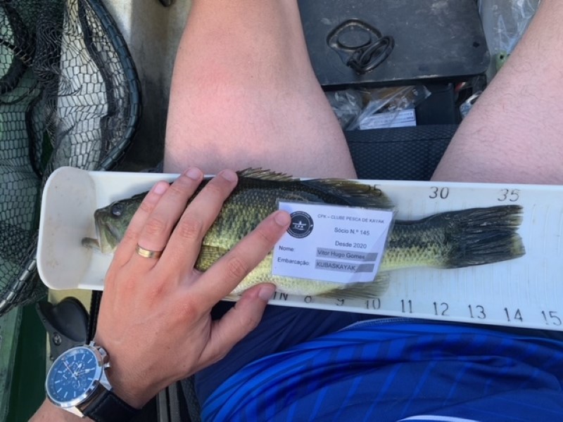 Fish Measure Picture
