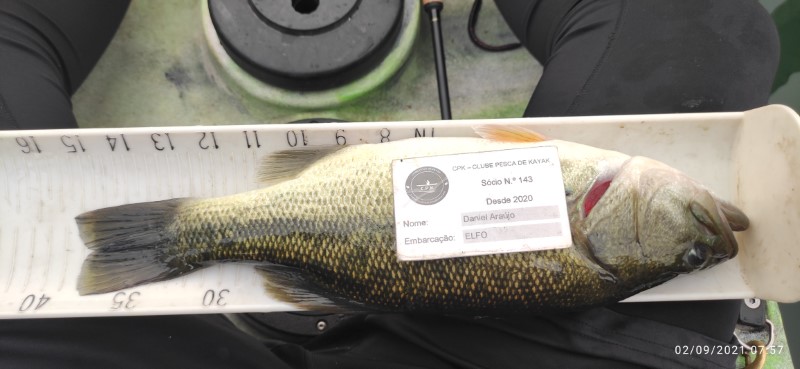 Fish Measure Picture