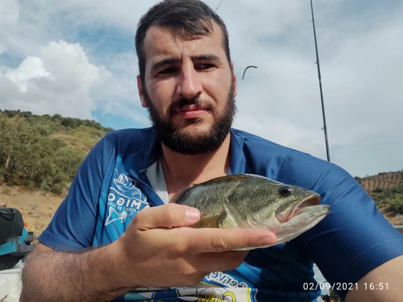 Fish Profile Picture