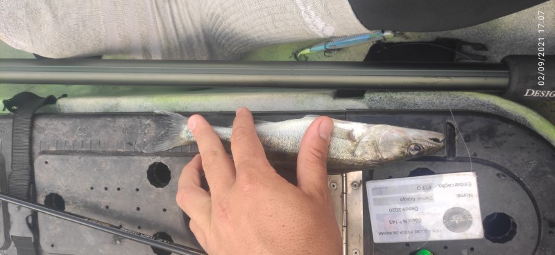 Fish Measure Picture