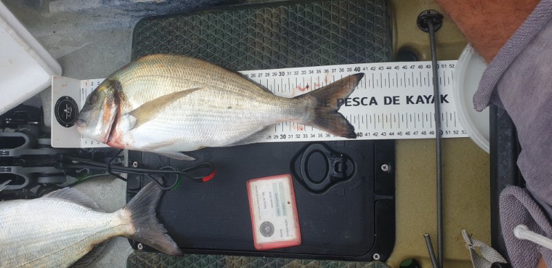 Fish Measure Picture
