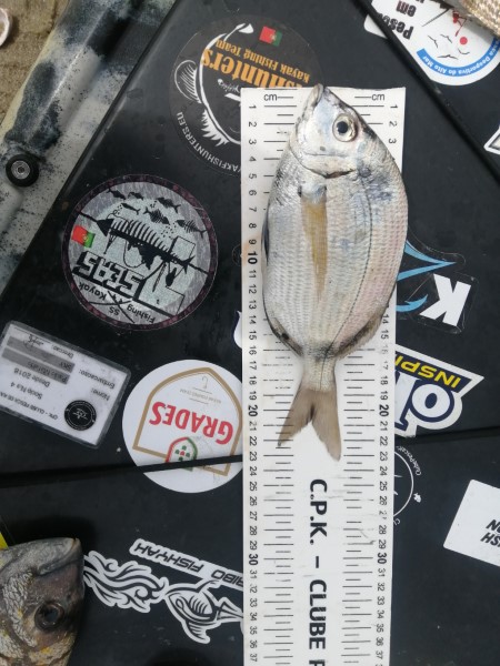 Fish Measure Picture