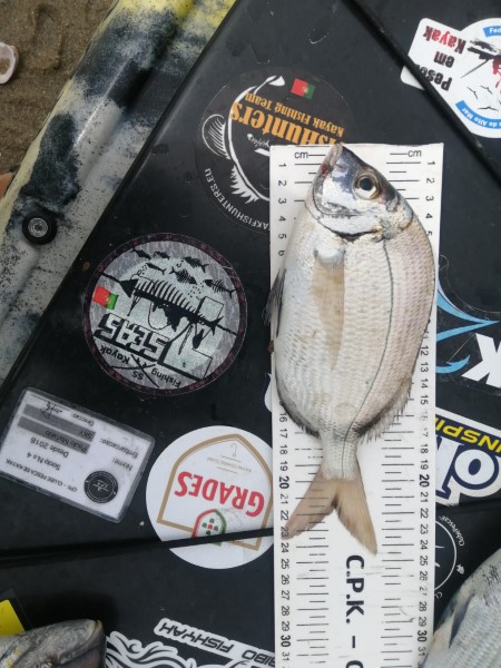 Fish Measure Picture