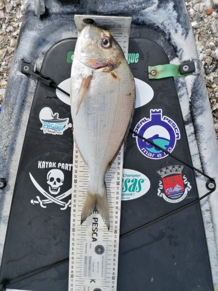 Fish Measure Picture