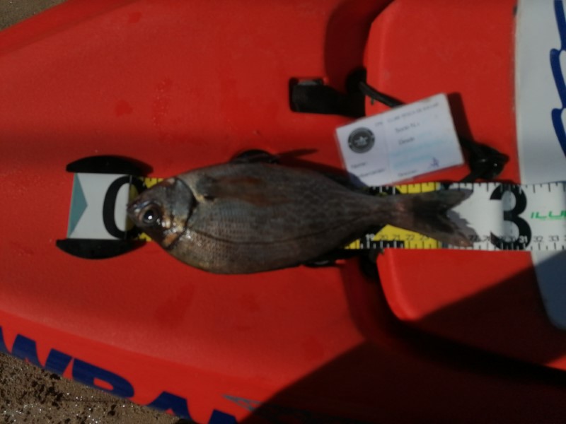 Fish Measure Picture