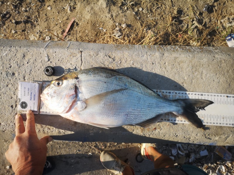 Fish Measure Picture