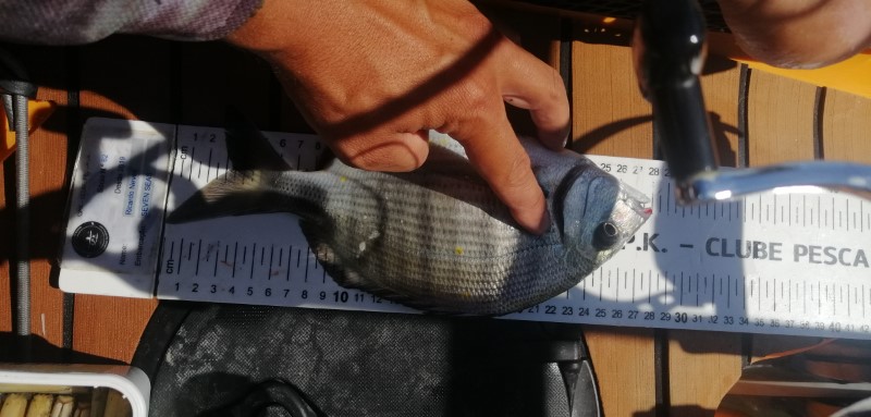 Fish Measure Picture