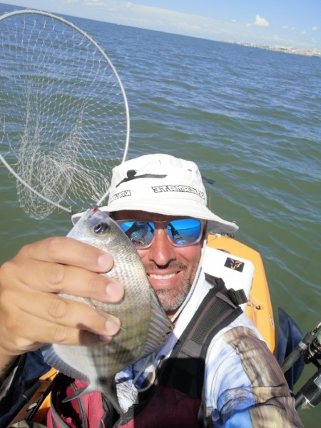 Fish Profile Picture