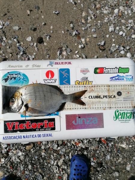 Fish Measure Picture