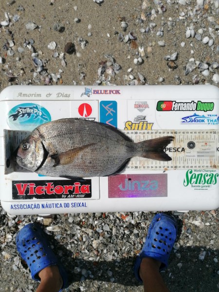 Fish Measure Picture