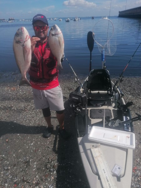 Fish Profile Picture