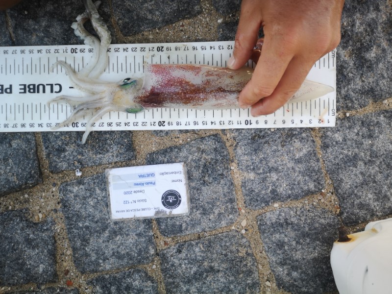 Fish Measure Picture