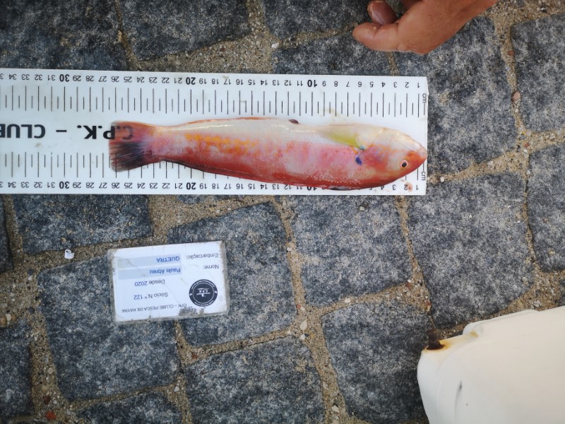 Fish Measure Picture