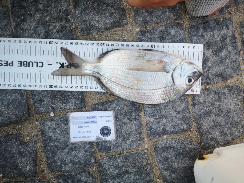 Fish Measure Picture