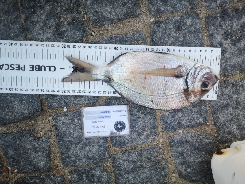 Fish Measure Picture