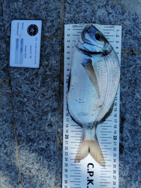 Fish Measure Picture