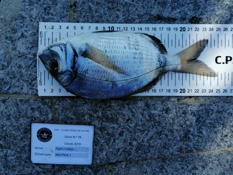 Fish Measure Picture