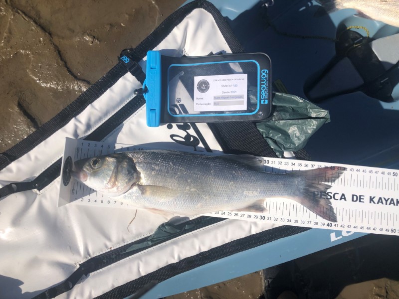 Fish Measure Picture