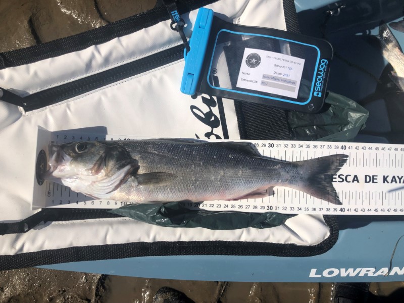 Fish Measure Picture
