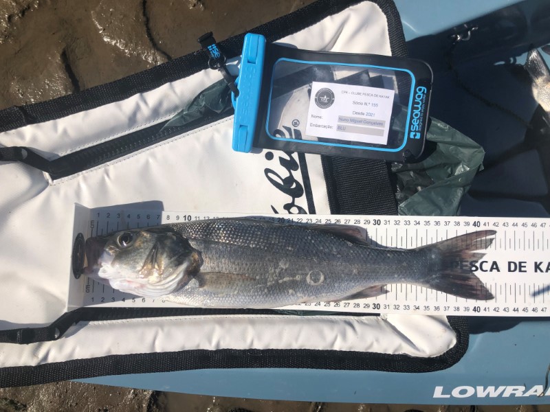 Fish Measure Picture